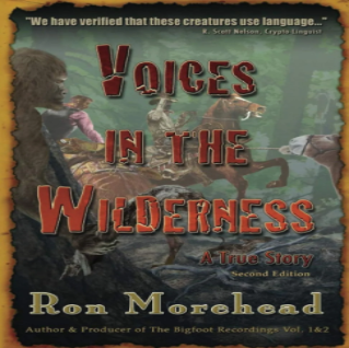 Voices in the Wilderness (Audiobook)