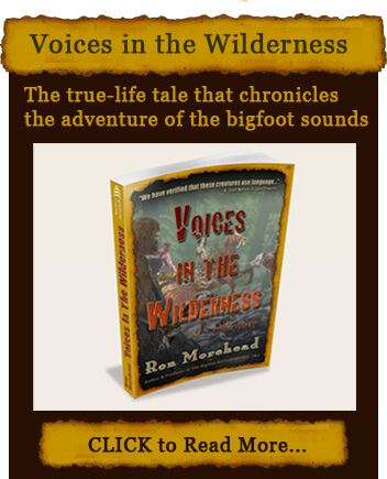 Voices in the Wilderness by Ron Morehead